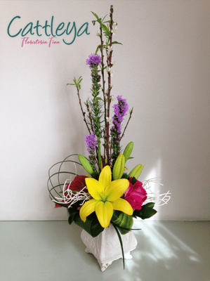 DF#20  (BASES SUJETAS A DISPONIBILIDAD)