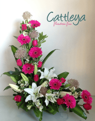 DF#30 $1,435.- IVA INC  (BASES SUJETAS A DISPONIBILIDAD)