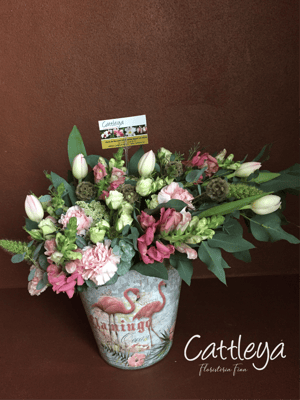 DF#02 $1,800 (BASES SUJETAS A DISPONIBILIDAD)