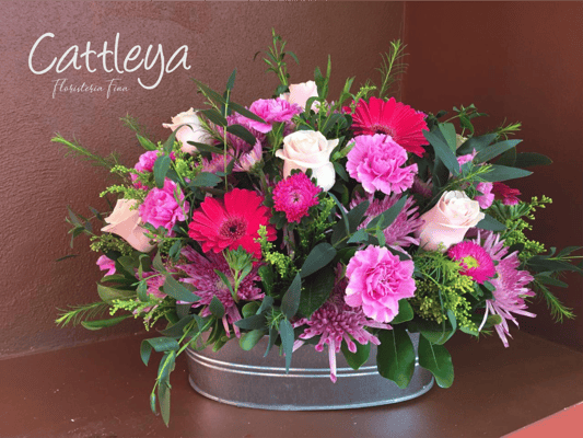 DF#06  (BASES SUJETAS A DISPONIBILIDAD)