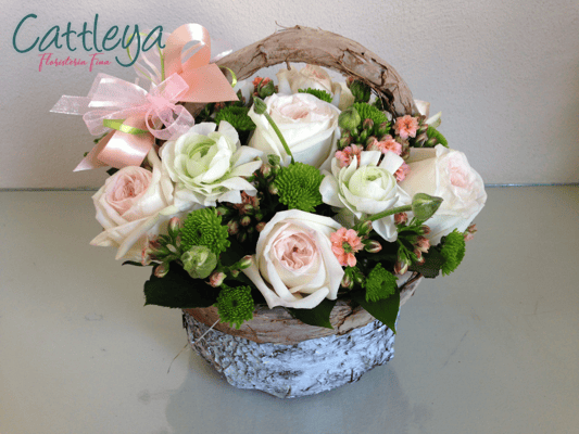 CA26   $950.- IVA INC.