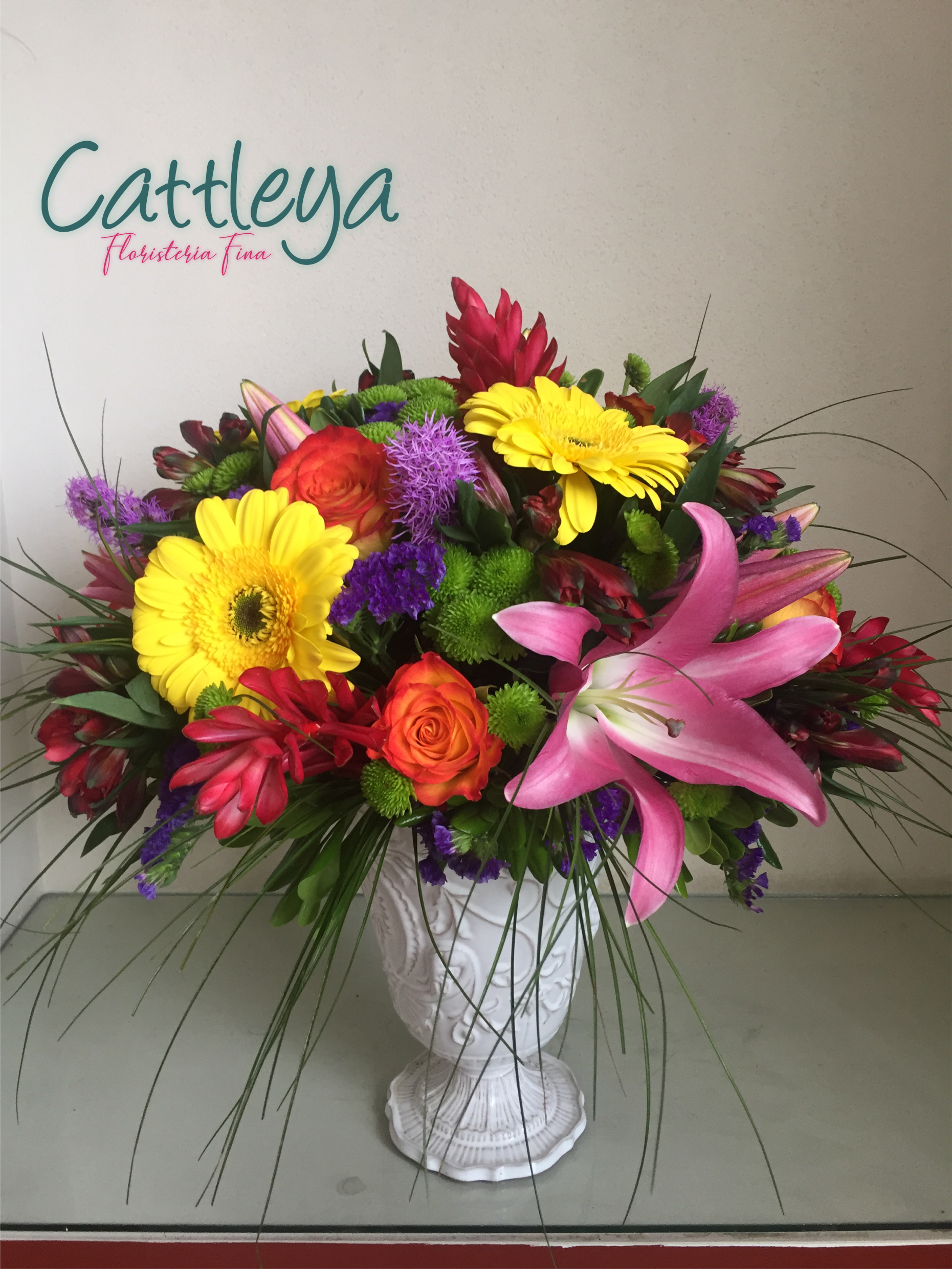 DF#08  (BASES SUJETAS A DISPONIBILIDAD)