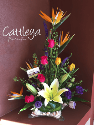 DF#22  (BASES SUJETAS A DISPONIBILIDAD)