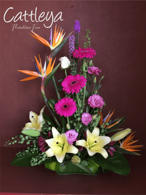 DF#21  (BASES SUJETAS A DISPONIBILIDAD)