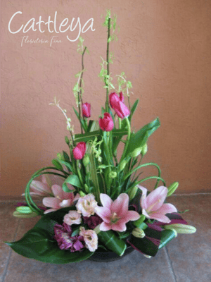 DF#25  (BASES SUJETAS A DISPONIBILIDAD)