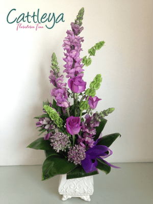 DF#17  (BASES SUJETAS A DISPONIBILIDAD)