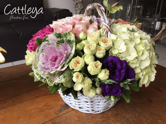 CA15  $5,000.- IVA INC. 