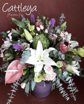 DF#13  (BASES SUJETAS A DISPONIBILIDAD)