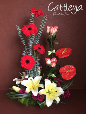 DF#24  (BASES SUJETAS A DISPONIBILIDAD)