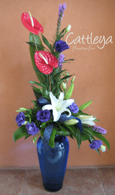 DAL25  $1,300.-  (BASE SUJETA A DISPONIBILIDAD)