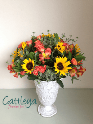 DF#07  (BASES SUJETAS A DISPONIBILIDAD)