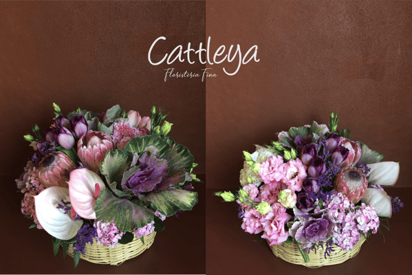 CA02  (TODAS VISTAS)