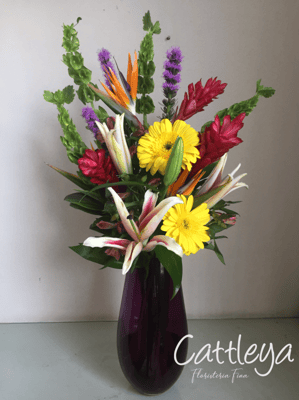 DAL04   $1,500.-  (BASE SUJETA A DISPONIBILIDAD)