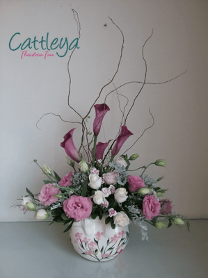 FD#15  (BASES SUJETAS A DISPONIBILIDAD)