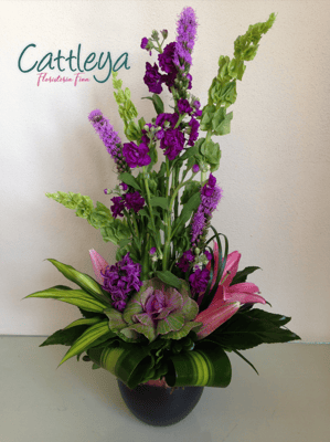 DF#16  (BASES SUJETAS A DISPONIBILIDAD)