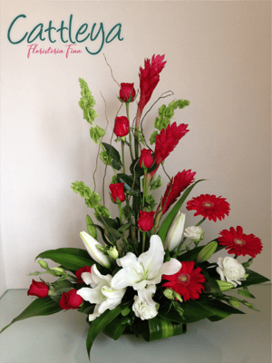 DF#26  (BASES SUJETAS A DISPONIBILIDAD)