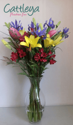 DAL26   (BASE SUJETA A DISPONIBILIDAD)