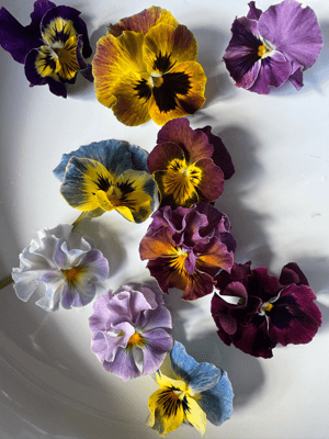 2月flower lesson/球根植物のスタイリングアレンジ