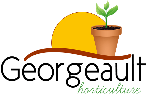 production plants légumes 35140 rives du couesnon