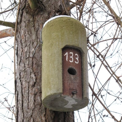 Kombi-Kasten für Vögel und Fledermäuse