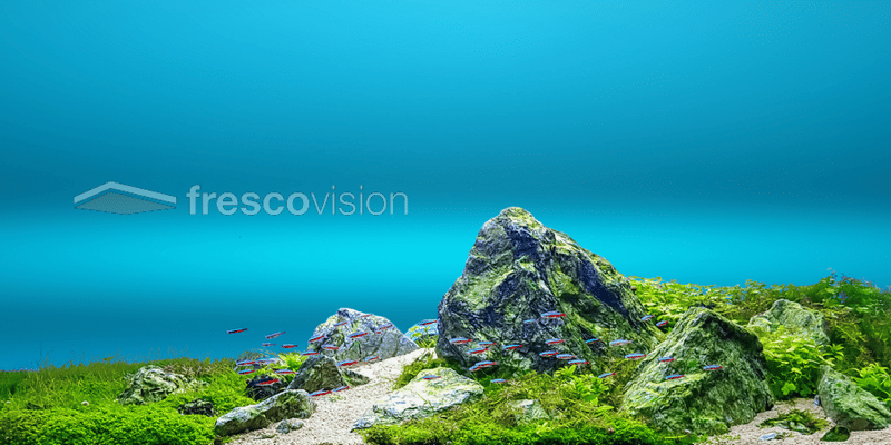 Farbverlauf blau/weiß Aquariumrückwand