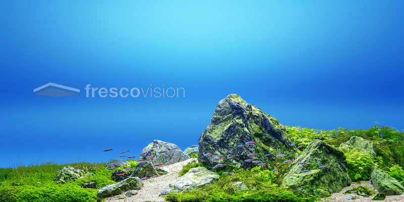 LED backlight Aquarium 