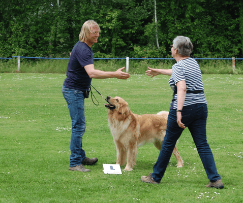 Herzlichen Glückwunsch zum Ersten Platz: " Sehr freundliches und aufmerksames Wesen " ( die Richterin meint den Hund)