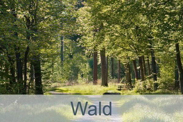 Wald
