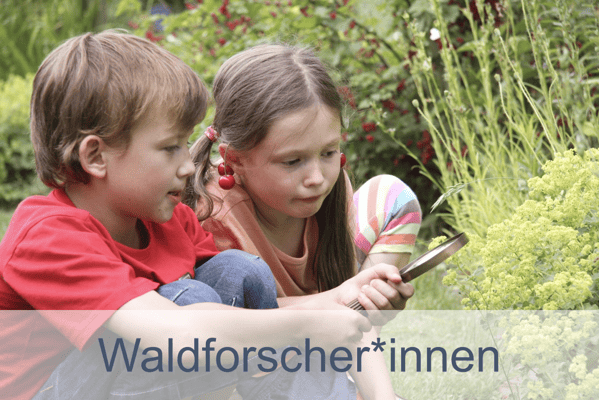 Waldforscher