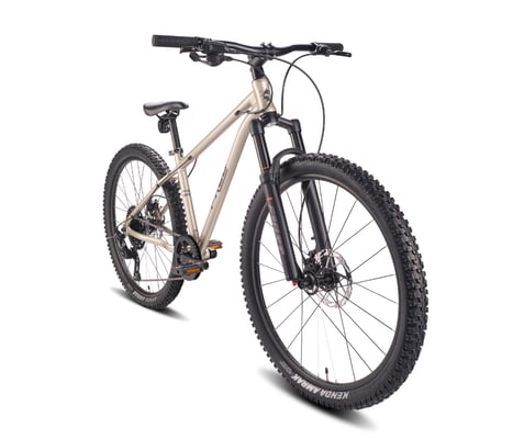 Frog MTB in Sandstorm Gold ©