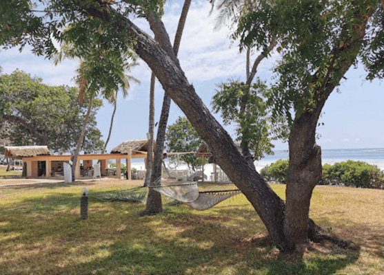 Foto FrauenReise mit demipress und Lets go Africa