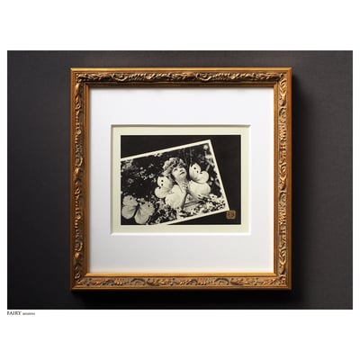 Fairy | photograph 『妖精採集』シリーズ「憧れ」2022｜写真作品 ©️ミーシャグラフィカ