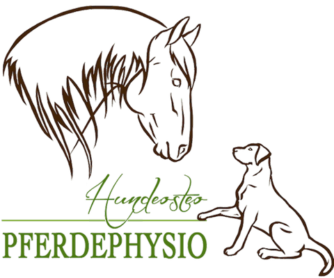 SABRINA JUNGO-KÜRY'S PHYSIOTHERAPIE FÜR TIERE