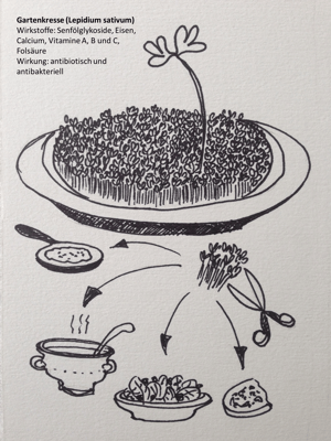 Textplantage_Monatsblatt Februar 2017_Kresse