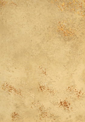 KalkSpachtel fein mit KalkLasur mit Akzenten in Goldbronze