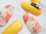 ジェルネイル　オフィスネイル　シンプルネイル　上品ネイル　ブライダルネイル　表参道　外苑前　青山　南青山　otonanail　オトナネイル　大人ネイル　ストーリージェル　パラジェル　バイオジェル　フィルイン　ネイルケア　ハンドケア　フットケア