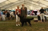 Flataholics Black Legend, JCAC, JBOB, BEST OF BREED