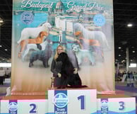 Duncan - Flataholics Black Legend erfüllt nun alle Voraussetzungen für den Ungarischen Jugendchampion!