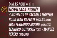 Novillos de Zacarias Moreno pour Jean Baptiste Molas, José Fernando Molina, Leandro Gutierrez, Manuel Perera