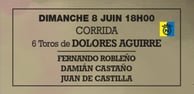 Toros de Dolores Aguirre pour Fernando Robleño, Damian Castaño et Juan de Castilla