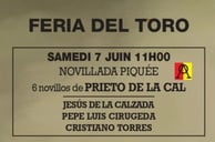 Toros de Prieto de la Cal pour Jesus de la Calzada, Joa d'Alva et Pepe Luis Cirugeda