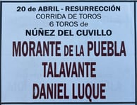 Toros de Nuñez del Cuvillo pour Morante de la Puebla, Talavante et Daniel Luque