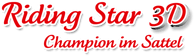 Logo Riding Star 3D