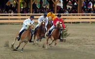 Haflingerrennen auf der historischen Wiesn 2010