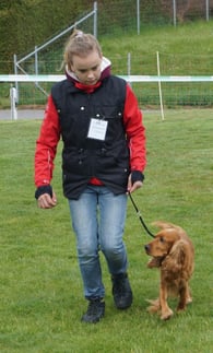 Laura Witzig mit Ingo, Beginners Junior-Handling