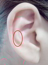 首・肩の反応点