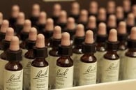 Bachblüten für Tiere