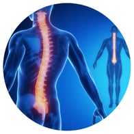 Inner West Chiropractors