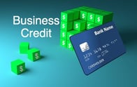 Business Credit Application