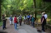 Foto: Gerhard Pfaff/Spessartbund
